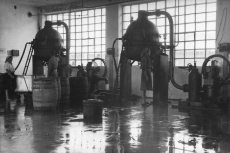 The beginnings of the "Vitaminka" factory, set in Banja Luka (1946-1950), started out as a small private production of squeezed juices